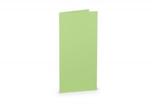 Cartes pliables DIN long, vert menthe